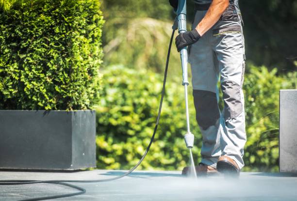 Best Roof Washing  in Morristown, TN